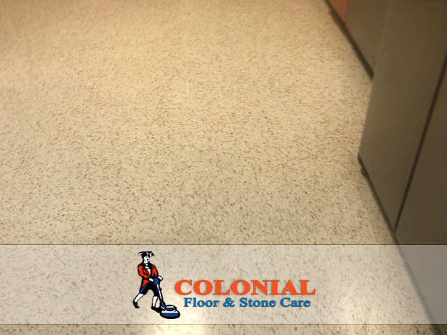 Why Polishing Terrazzo is One of The Smart Investment in Miami County?