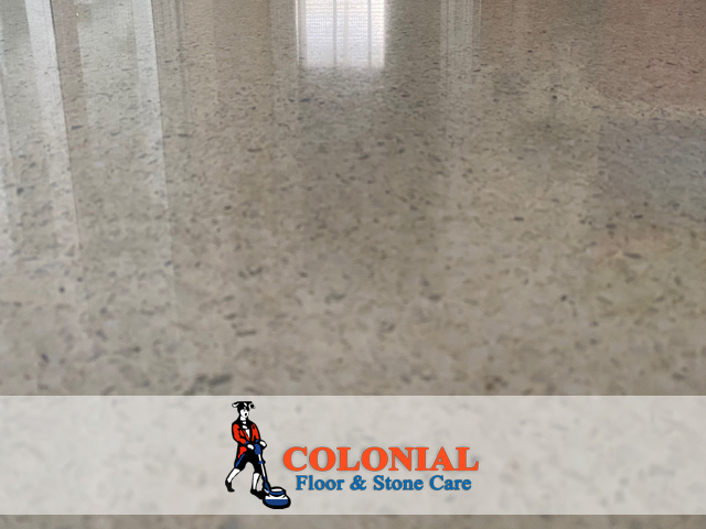 Restoring Elegance: Terrazzo Floor Restoration in Miami, Florida