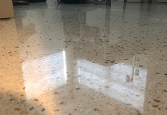 Terrazzo Floor Restoration Fort Lauderdale