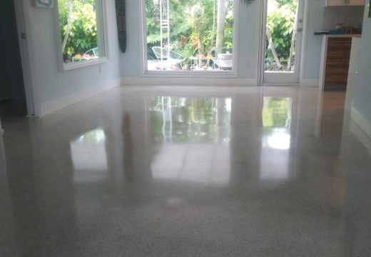 Terrazzo Floor Polishing