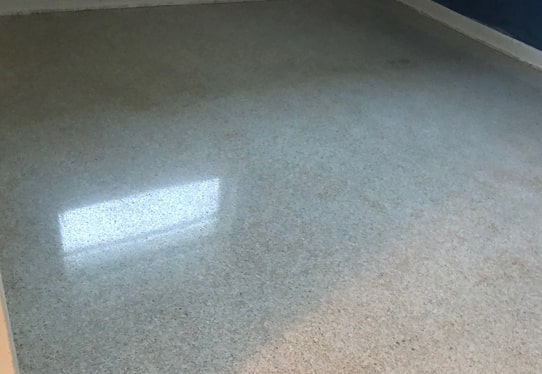 Terrazzo Clean Palm Beach