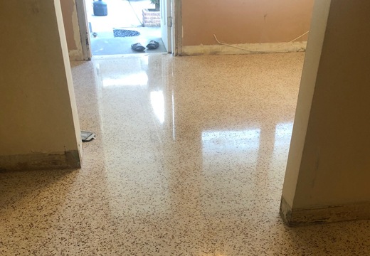 Terrazzo Clean