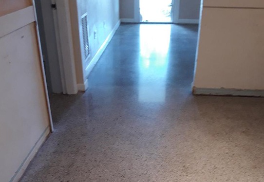 Terrazzo Floor Cleaning