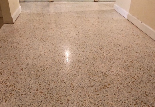 terrazzo-polishers