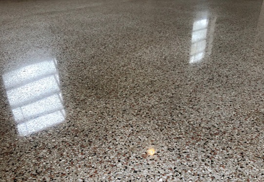 Terrazzo Floor Polishing