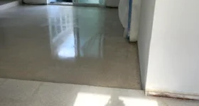 Polishing Terrazzo Floors Expert